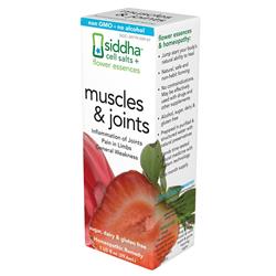 1557107 1 Fl Oz Muscles & Joints Oral Spray - Homeopathic Remedy