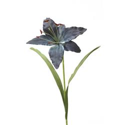 Distinctive Designs DW-988-KOBL Madonna X 1 Lily - Pack of 12