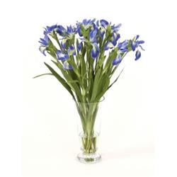 Distinctive Designs 15810 Waterlook Blue Iris In Footed Vase