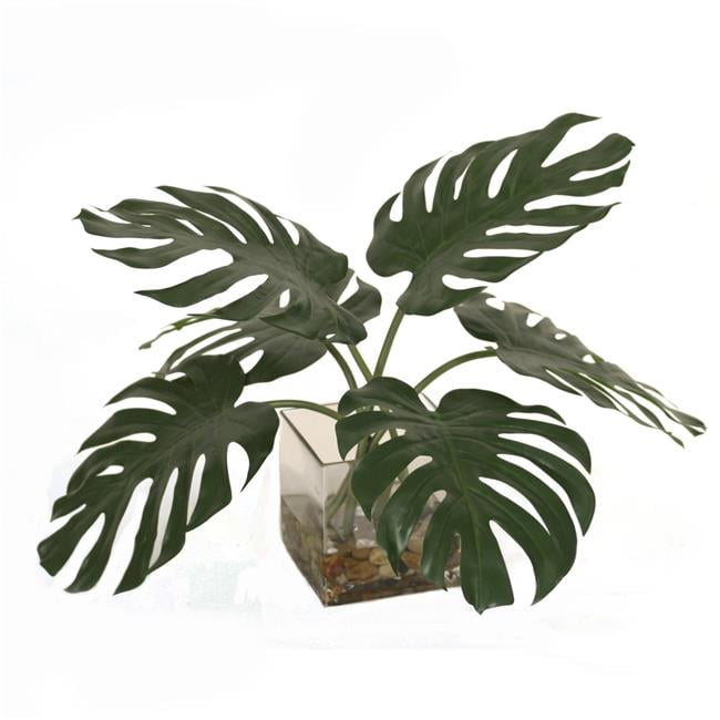 Disttive Designs 17297 Unisex Split Philodendron Leaf in Square Glass - Green