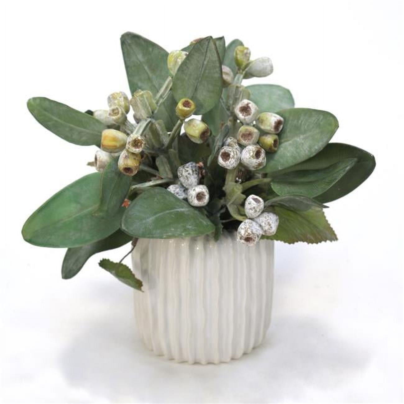 Unisex Frosted Eucalyptus in White Vase - Green