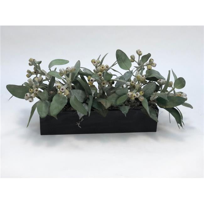 Disttive Designs 2065A Unisex Frosted Eucalyptus in Black Box - Green