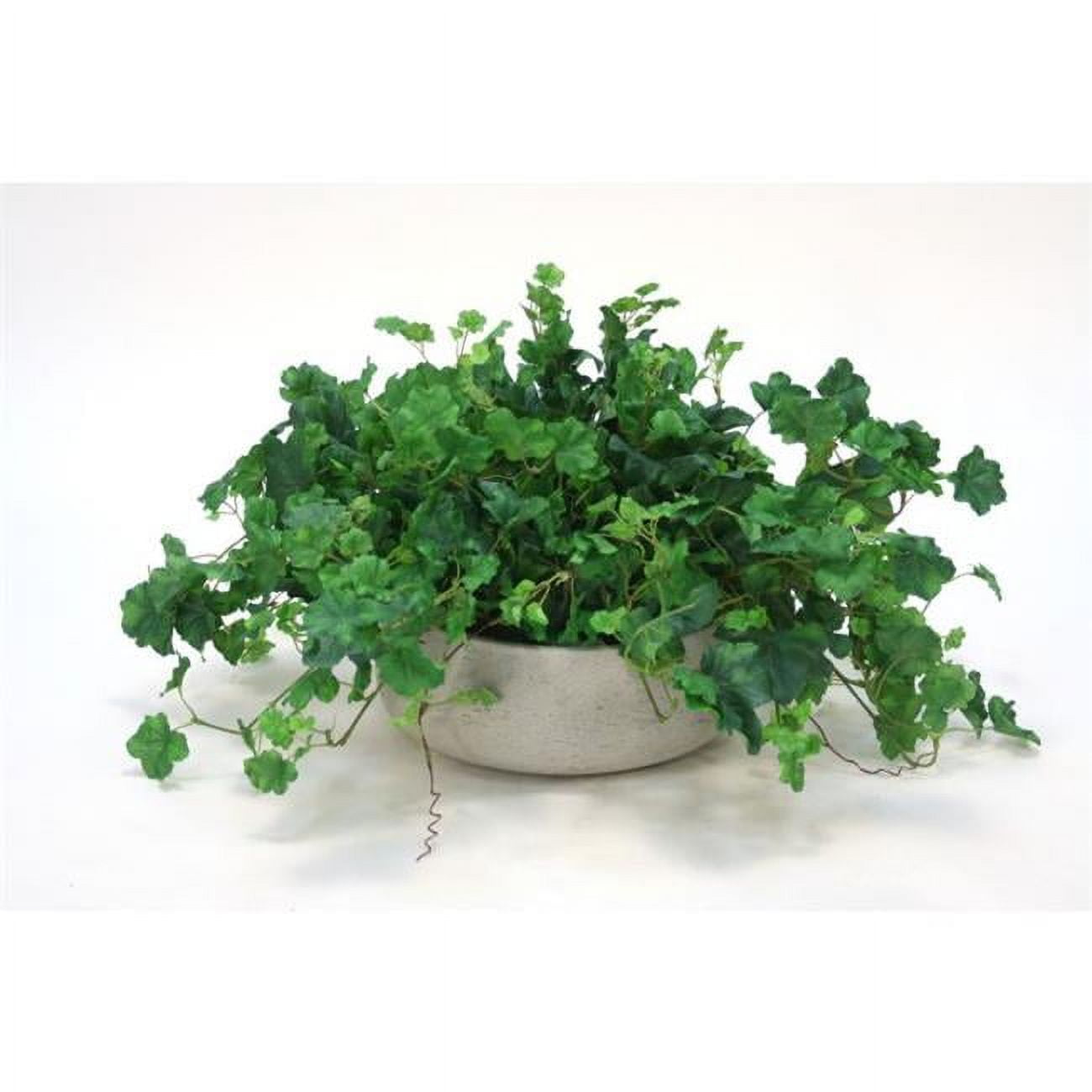 Disttive Designs 2214A Unisex Geranium Bush in Grey Wash Bowl - Green