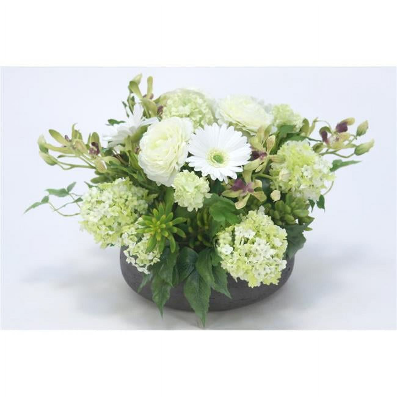 Unisex Orchid with Daisies & Snowball Hydrangeas in Low Bowl - Green