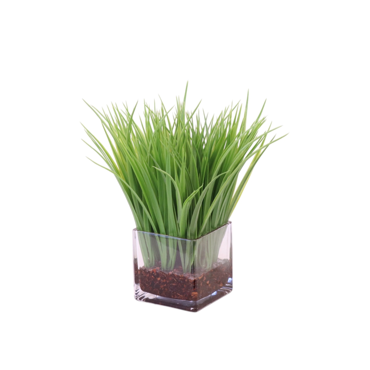Distinctive Designs 17423 Grass in Glass Square Cube