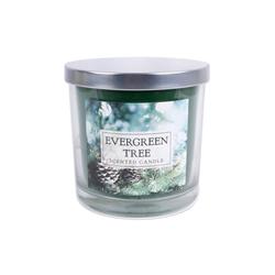 Design Imports Z01476 3 Wick Evergreen Tree Scented Candle