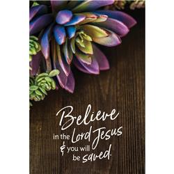 5953 6 X 9 In. Believe In The Lord Jesus & You Will Be Saved Organic Brights Wood Plaque With Easel