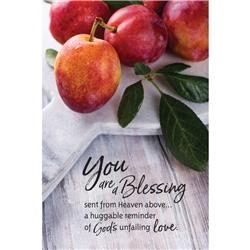 5954 6 X 9 In. You Are A Blessing Organic Brights Wood Plaque With Easel