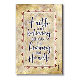 5880 6 X 9 In. Faith Is Not Believing Wood Plaque With Easel & Hanger