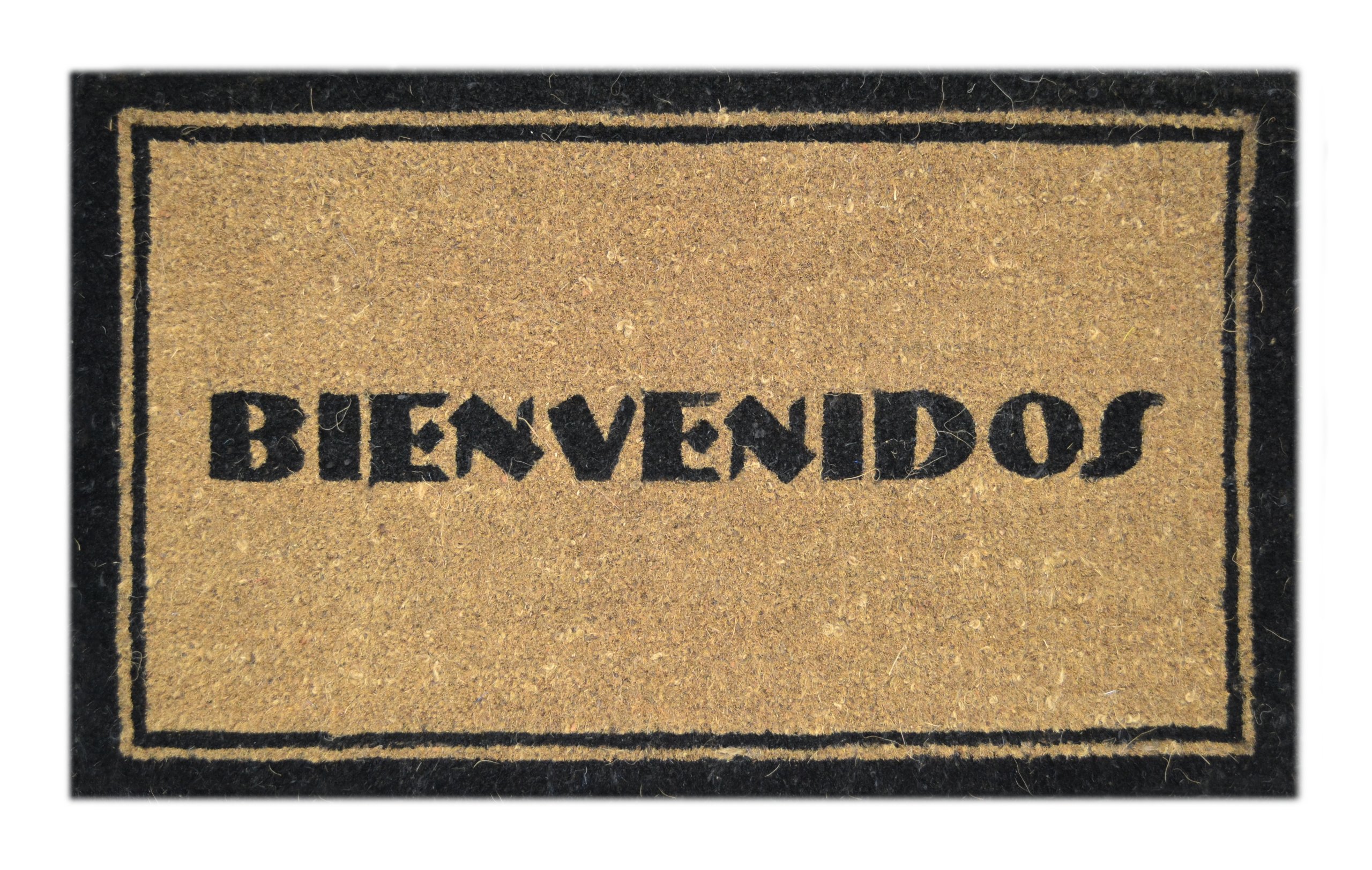 Imports Decor Bienvenidos Door Floor Mat
