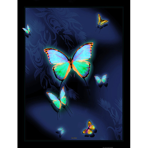 542-t Large Butterflies On A Dark Blue Transitioning To Black Background 48 In. X63 In. Satin Throw