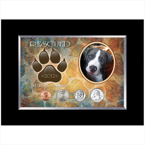 11892 Rescued Year To Remember Dog 4 Coin Frame