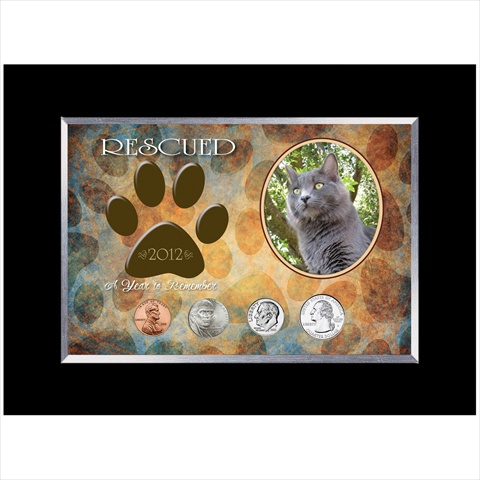 12311 Rescued Year To Remember Cat 4 Coin Frame