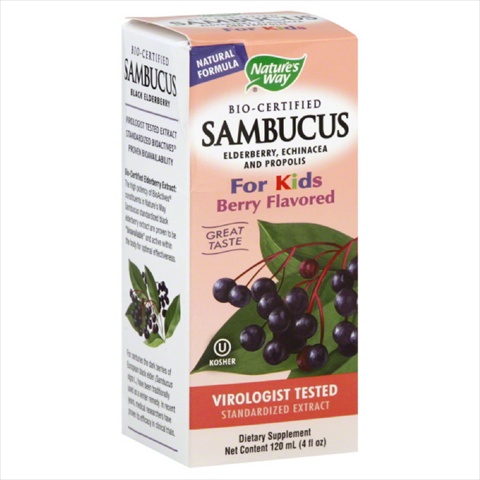 Sambucus For Kids-4 Oz -pack Of 1