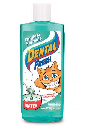 369041 Dental Fresh Cat 8 Oz.