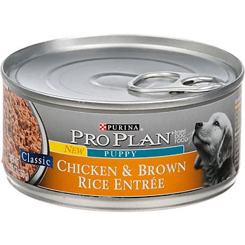 381701 Pp Class Chicken-rice Puppy 24-5.5 Oz. Pack Of 24