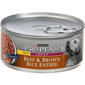 381703 Pp Class Beef-brown Rice Dog 24-5.5 Oz. Pack Of 24