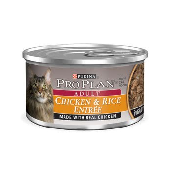 381807 Pp Chicken-rice Adult Cat Can 24-3 Oz. Pack Of 24