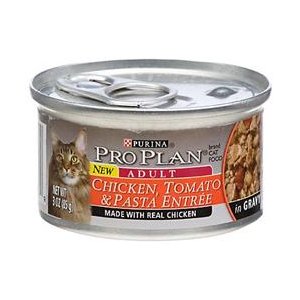 381819 Pp Grvy Chicken-tom Cat Can 24-3 Oz. Pack Of 24
