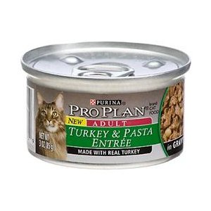 381823 Pp Grvy Turkey-psta Cat Can 24-3 Oz. Pack Of 24