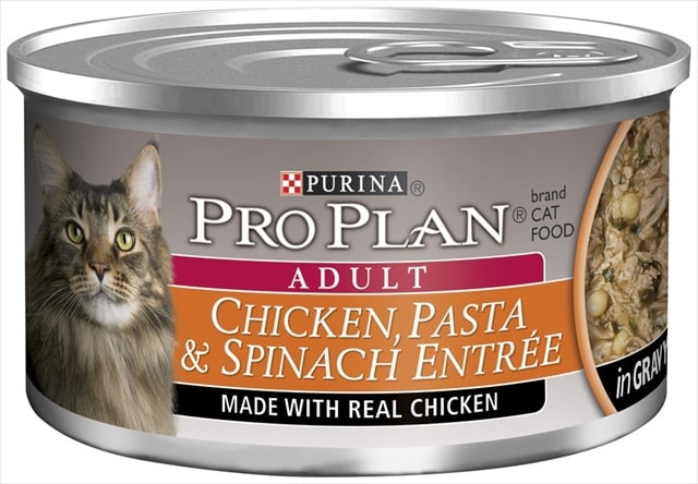 381827 Pp Chicken-psta-spin Cat Can 24-3 Oz. Pack Of 24