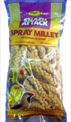 466003 Higg Spray Millet 6ct