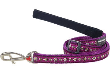 L6-dc-pu-me Dog Lead Design Daisy Chain Purple, Medium