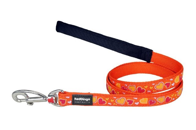 L6-bz-or-me Dog Lead Design Breezy Love Orange, Medium