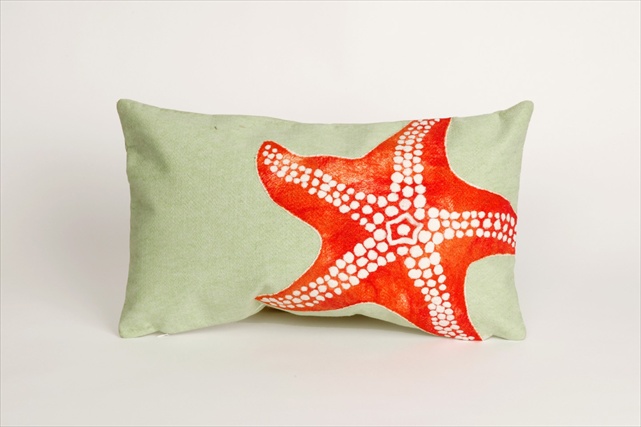 Visions Ii 4141-16 Starfish Seafoam 12 X 20 In. Outdoor Pillow
