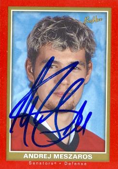 66439 Andrej Meszaros Autographed Hockey Card Ottawa Senators 2006 Upper Deck Bee Hive No. 128