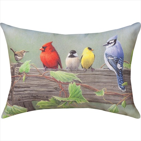 Manual Woodworkers And Weavers Shxbl2 Birds On A Line Ii Climaweave Pillow Digitally Printed 18 X 13 In.