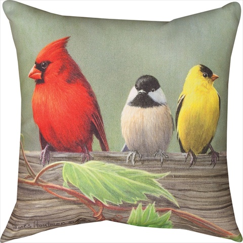 Manual Woodworkers And Weavers Slblcd Birds On A Line Cardinal Climaweave Pillow Digitally Printed 18 X 18 In.