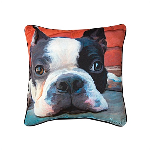 Manual Woodworkers And Weavers Slmxbt Paws And Whiskers Moxley Boston Terrier Printed Pillow 18 X 18 In.