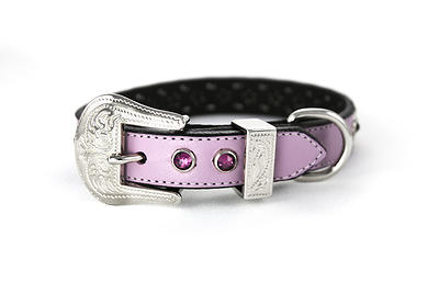 030955822976 Purple Leather Collar, Dark Purple Crystal Large 17-19 In., 0.75 In. Width