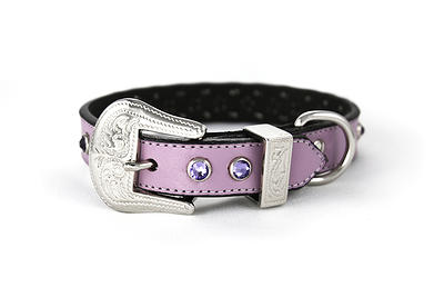030955822778 Purple Leather Collar, Tanzanite Crystal Med 15-16 In., 0.75 In. Width