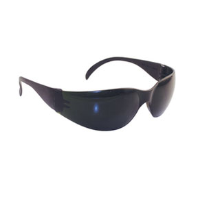 5346 Nsx Eyewear - Shade 5 Lens, Black Temple W Polybag