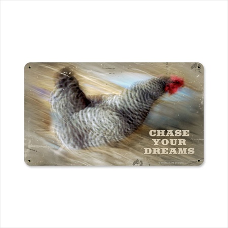 Aif015 Chase Your Dreams Home And Garden Metal Sign
