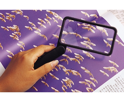 Essential Medical L4002 Everyday Essentials Folding Rectangular Magnifier