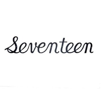 Script Modern House Number Seventeen