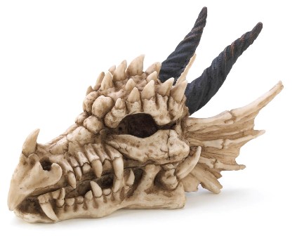 57070331 Dragon Skull Treasure Box