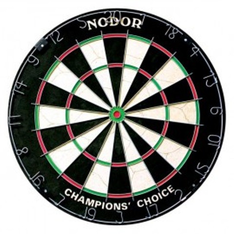 60015 Champions Choice Practice Bristle Dartboard