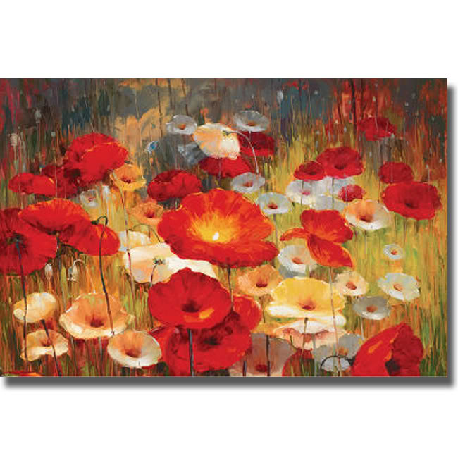 2436537s Meadow Poppies I By Lucas Santini Premium Stretched Canvas Wall Art