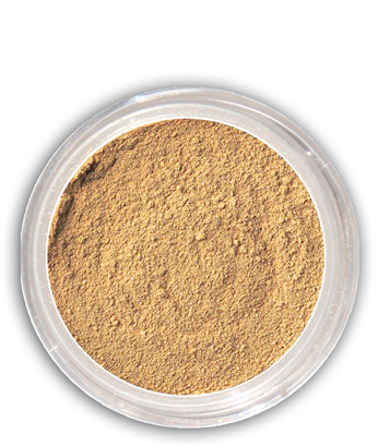 Mineral Foundation - Fairly Tan Makeup