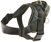 Dth6xxs Dt Harness Without Reflective Trim Black, Double Extra Small