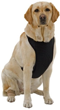 Anxsbk Warming & Cooling Adjustable Neck Mesh Harness X-small Black
