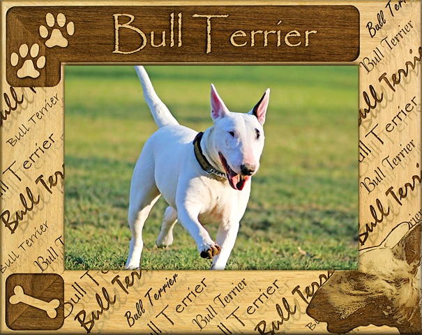 Giftworks Plus Dba0040 Bull Terrier, Alder Wood Frame, 3.5 X 5 In
