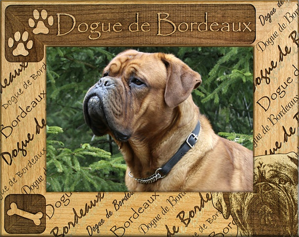 Giftworks Plus Dba0068 Dogue De Bordeaux, Alder Wood Frame, 3.5 X 5 In