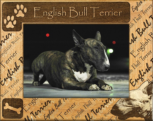 Giftworks Plus Dba0069 English Bull Terrier, Alder Wood Frame, 3.5 X 5 In