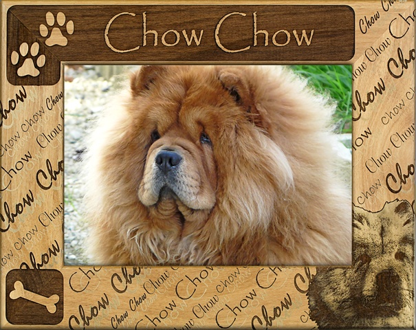 Giftworks Plus Dba0055 Chow Chow, Alder Wood Frame, 8 X 10 In
