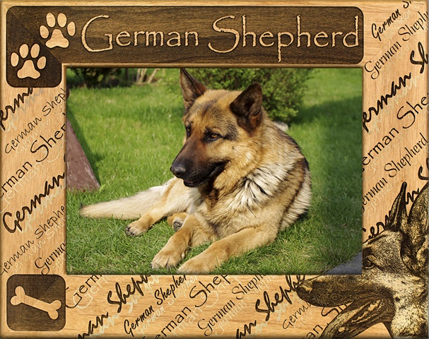 Giftworks Plus Dba0082 German Shepherd, Alder Wood Frame, 8 X 10 In